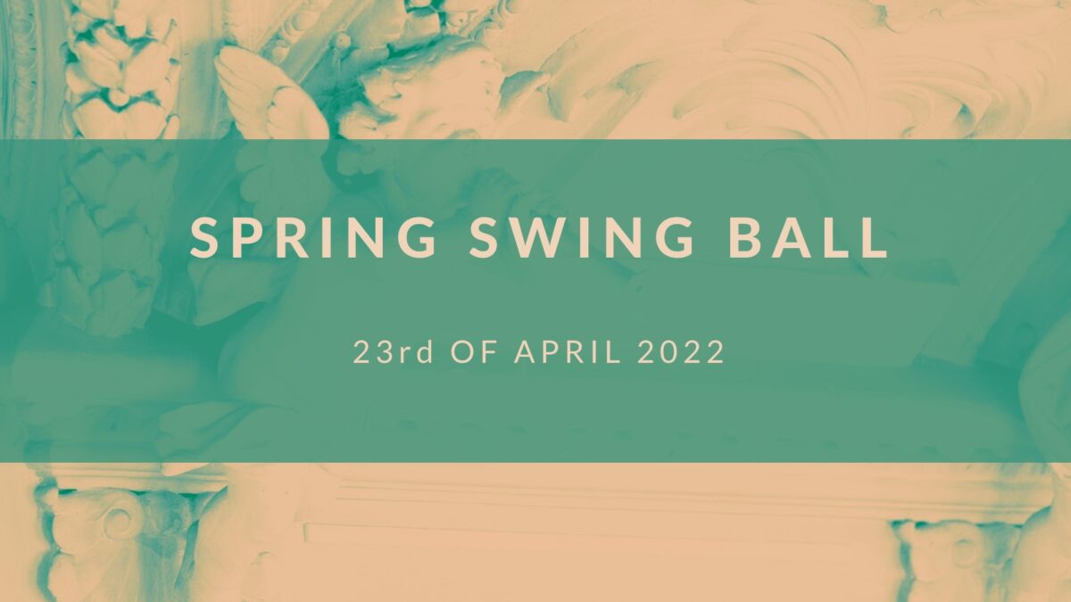 SWINGSHOES SPRING SWING BALL