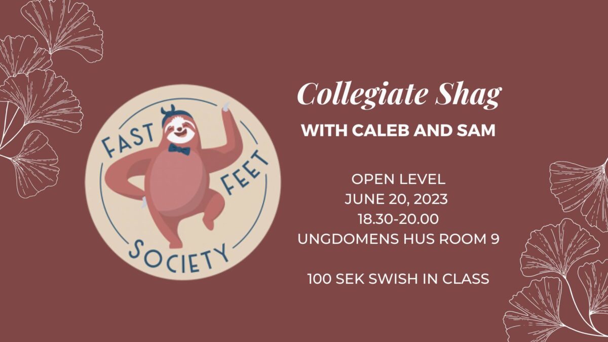 Collegiate Shag Open Level