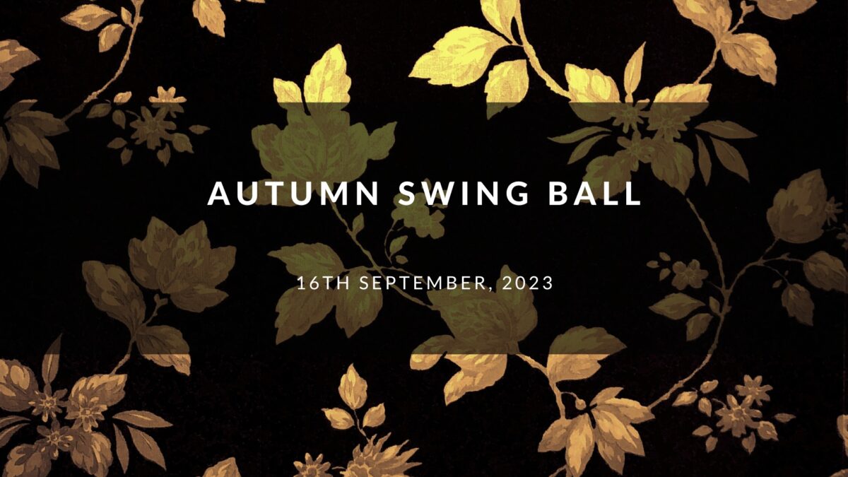 SWINGSHOES AUTUMN SWINGBALL