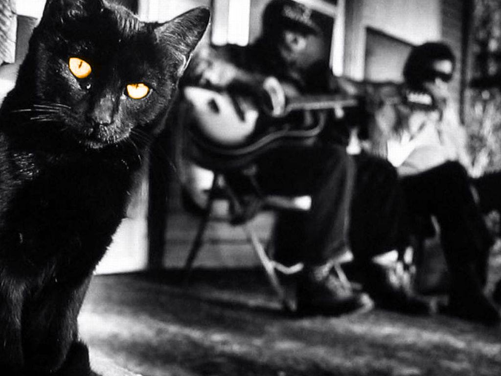 The Black Cat’s Blues Dance Party 6/1 2024